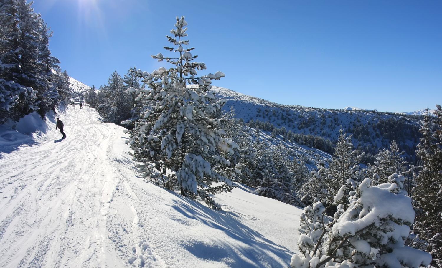 Pm Services Borovets Garden Apartments Exterior foto